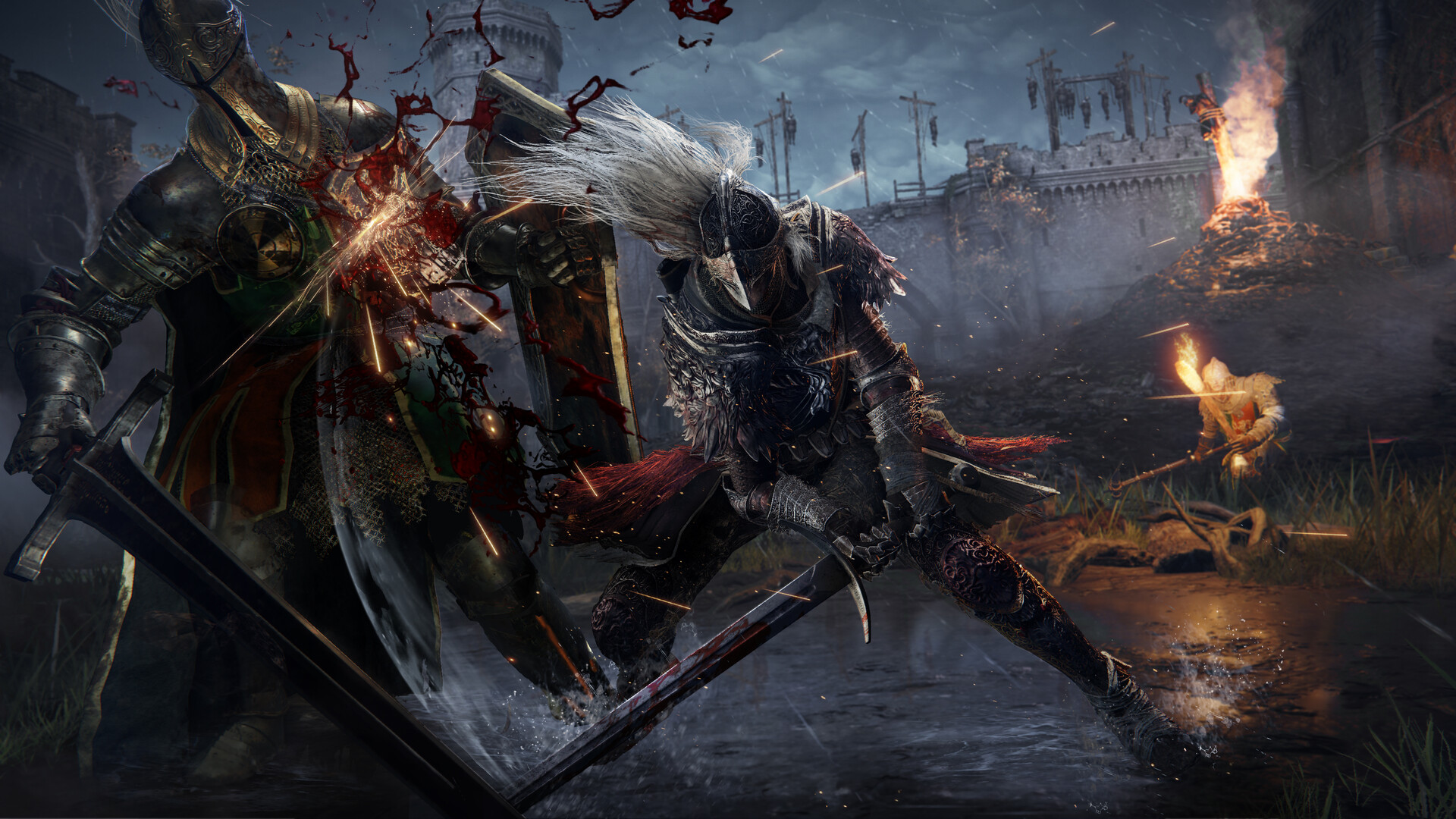 Elden Ring Tarnished Edition screenshot