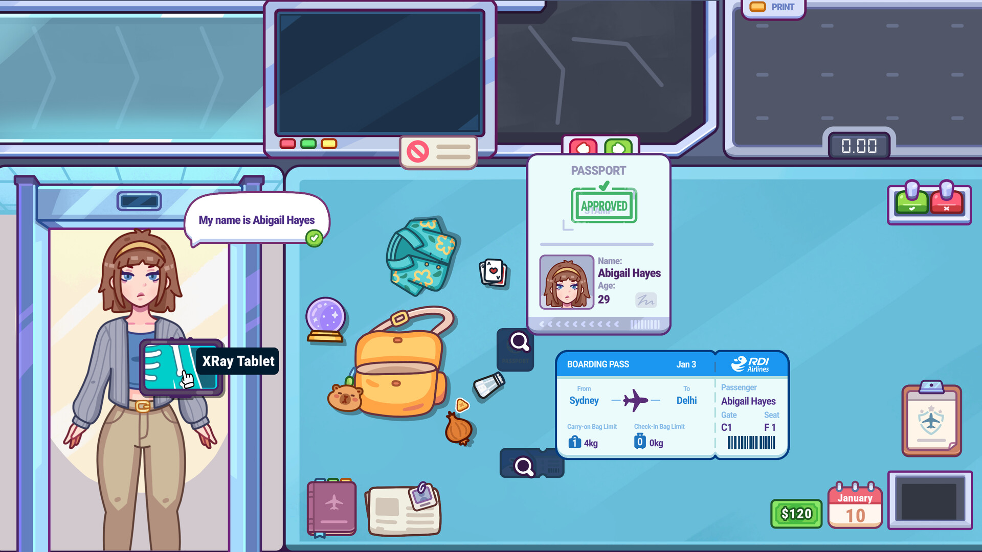 Nothing To Declare in-game screenshot 1
